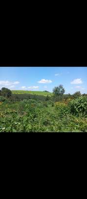 Land at Riara Ridge image 3