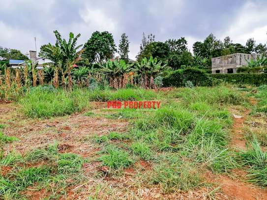 0.05 ha Residential Land at Ondiri image 12