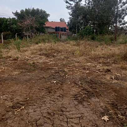 40*80ft plots for sale at Kenol town in Muranga county image 3