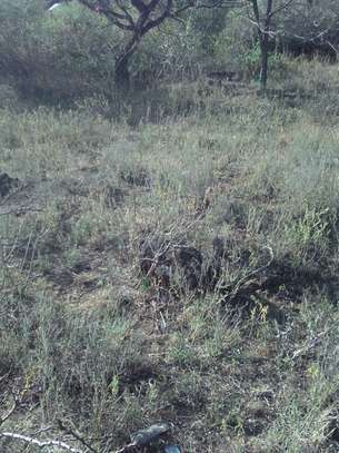 Milimani Estate Nakuru half an acre plot image 3