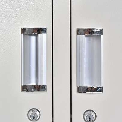 Office Cabinet : 2- Door Metallic Office Storage Cabinet image 3