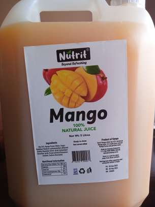 Nutrit® Mango Juice*5L*Preserved Natural Juice image 3