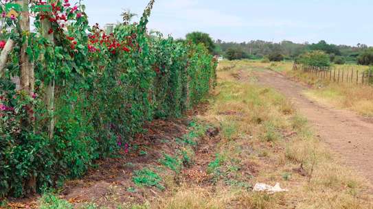 DEVELOPMENT PLOTS @KITENGELA KCA image 1