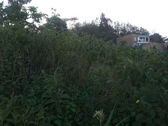 Beautiful one eighth plots in Ngong image 12