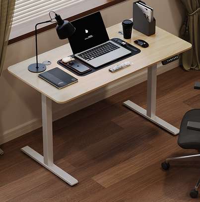 OFFICE DESK: White Electrical Standing Desk image 1