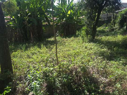 Stunning One Eighth Plots in Ongata Rongai image 15
