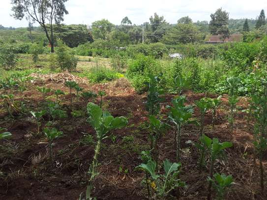 Lovely One Acre in Karen image 9