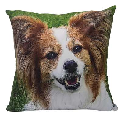 3D Throw pillow covers image 1