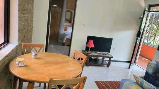 Luxurious  1 Bedroom Fully Furnished  In Riverside Drive image 14