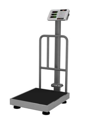 Industrial Digital Weighing Machine, Weighing Capacity:300KG image 1