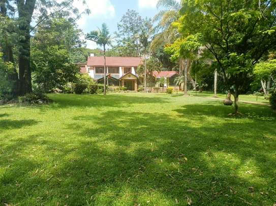 4 Bed House with Garden in Lavington image 13
