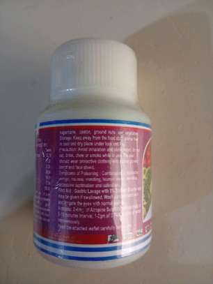 Lava insecticide image 2