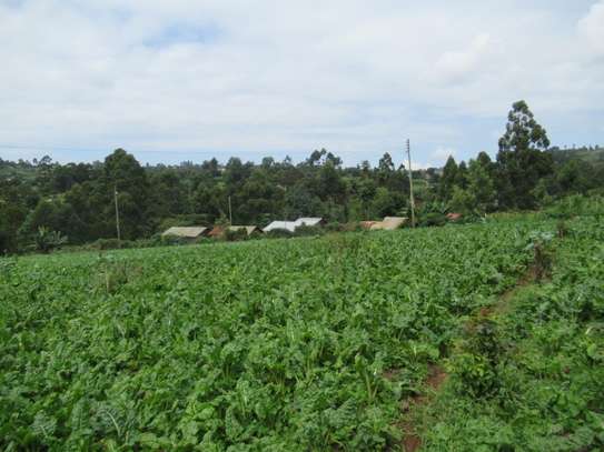 3.25 Acres Of Land For Sale in Ruku/Wangige image 5