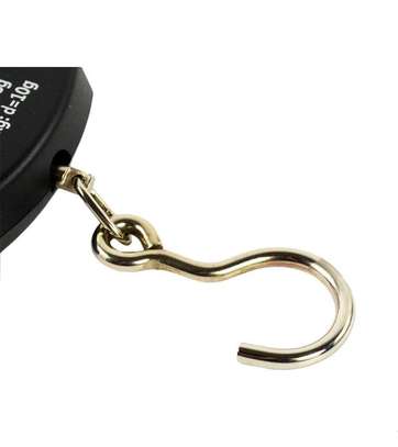 Weighing Hook Scale image 1