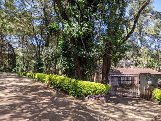 Residential Land at Peponi Rd image 19