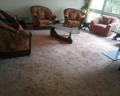 Sofa Set, Carpet, Mattress, House Cleaning in Allsops. image 6