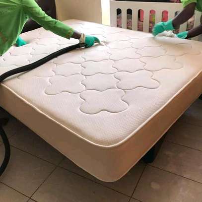 Professional mattress cleaning & Steaming image 1