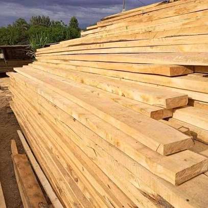 Cypress timber image 3