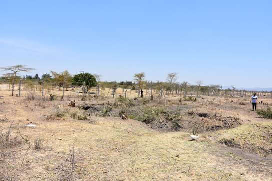 1/8 acre for sale with 20% off discount image 2