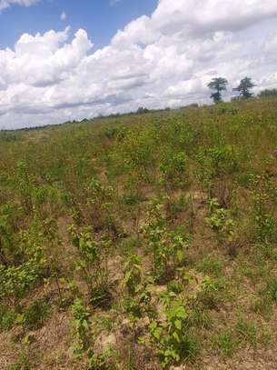 Mariakani Prime Plots For Sale with Title Deed image 3