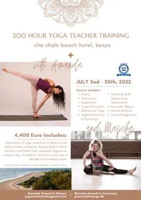 Yoga Teacher Training image 1