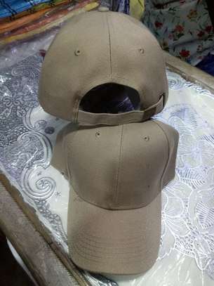 CAPS image 6