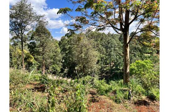 Residential Land in Kitisuru image 3