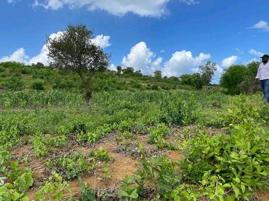 2-hectare beachfront land in Kilifi for Sale image 4