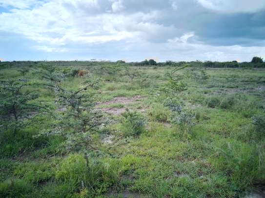 Land for sale by owner image 2