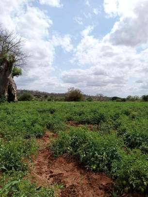 24 acres of land along Athi-River in Kibwezi Makueni County image 4