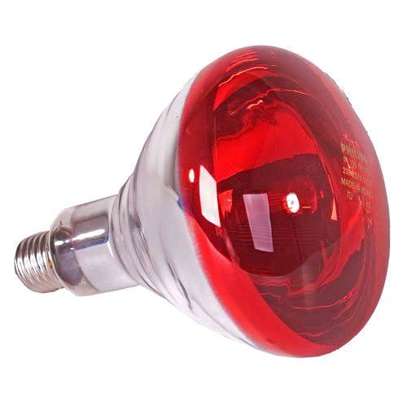 250 W AC infrared brooder heat bulb,ceramic adaptor holder image 1