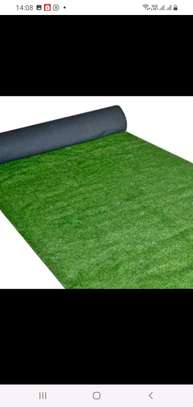 Grass carpet image 3