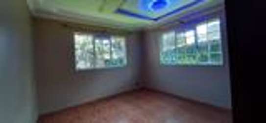 Ambassadorial 7 bedroom for sale image 7