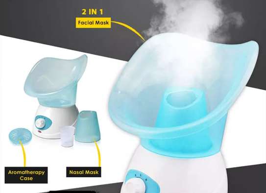 Face Steamer/ Sauna image 1