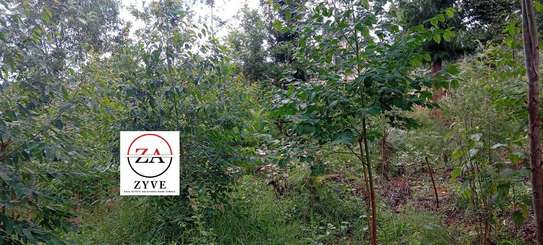 0.125 ac Land at Kasphat Estate image 4