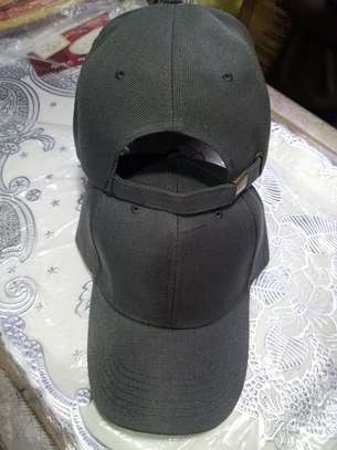 CAPS image 4