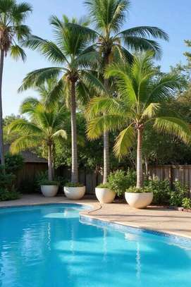 Swimming pool repair services image 1