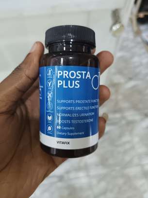 Prosta Plus image 1