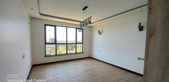 4 Bed Apartment with En Suite in Spring Valley image 10