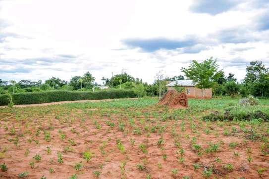 100 by 100 ft plot in Omega Estate Kibwezi Makueni County image 8