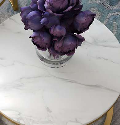 Office Table: Marble Top Round Coffee Table image 6