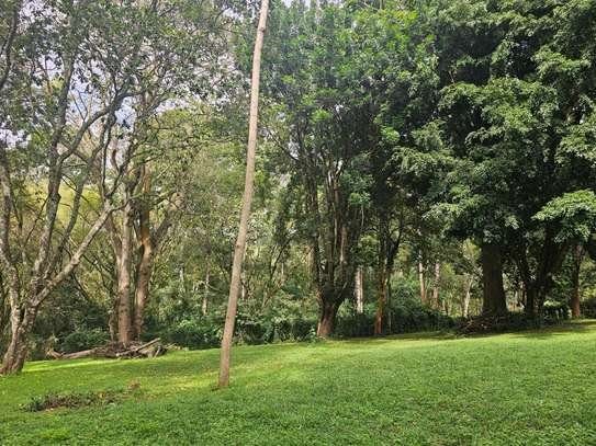 1/4 Acre On 1st Parklands image 1