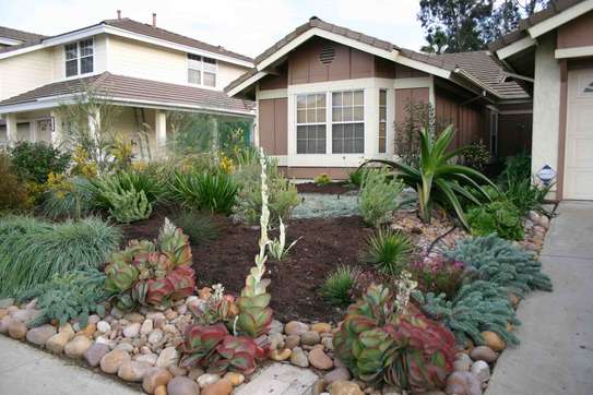 Hire Professional Gardener & Maintenance Staff | Call us for your Home and Office Gardening & Landscaping. image 10