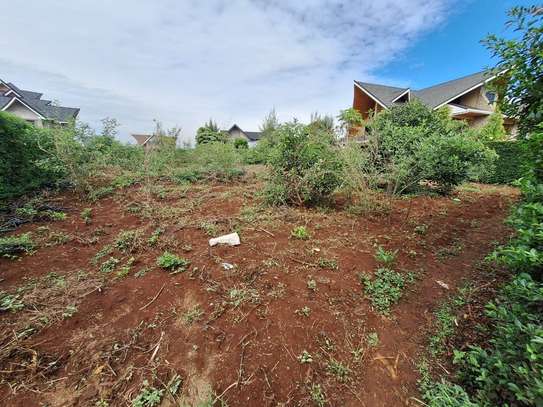 0.25 ac Residential Land at Daykio Bustani image 1