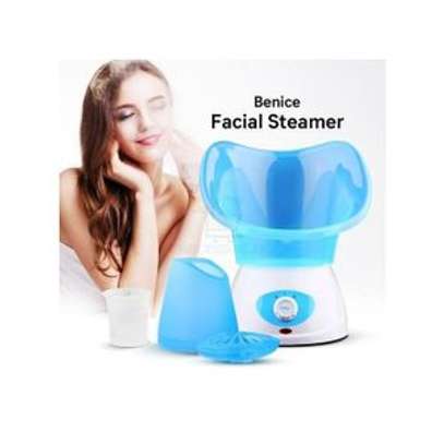 Benice Electric Facial Steamer/ Hydrater With Aromatherapy Diffuser image 1