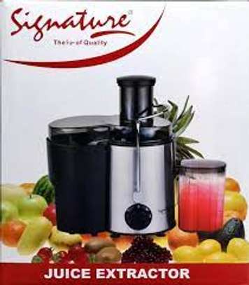 Signature Stainless Steel Signature Juice Extractor image 1