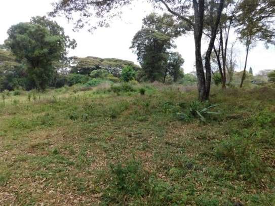 0.5 ac Residential Land at Nyari image 14