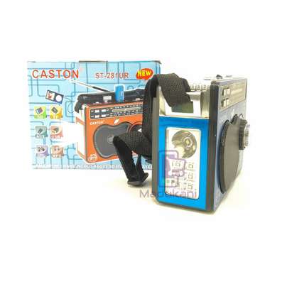Caston ST281UR Rechargeable AND Battery Radio image 3