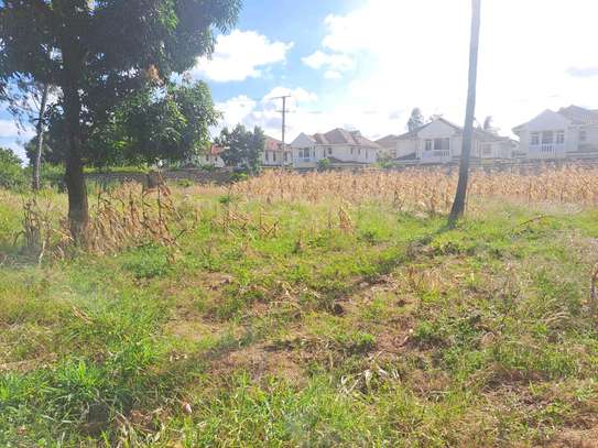 Mtwapa garden 1/2 acre plot image 4