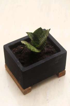 Tekili planter box image 4